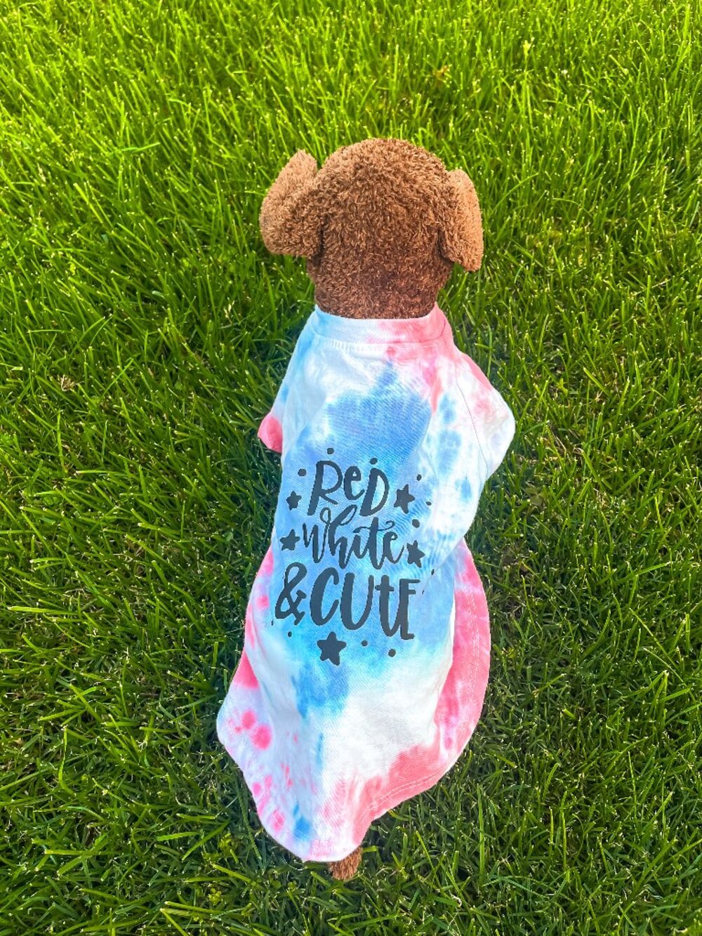 Red, White & Cute Small (5-15 lbs) Patriotic Tie-Dye Pet Dog Shirt
